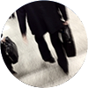 出張無料相談（国内）